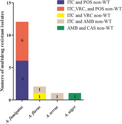 A 20-Year Antifungal Susceptibility Surveillance (From 1999 to 2019) for Aspergillus spp. and Proposed Epidemiological Cutoff Values for Aspergillus fumigatus and Aspergillus flavus: A Study in a Tertiary Hospital in China